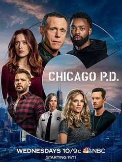 《芝加哥警署第八季》