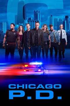 《芝加哥警署第七季》