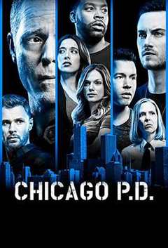 《芝加哥警署第六季》