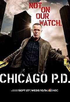 《芝加哥警署第五季》
