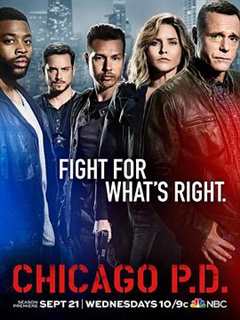 《芝加哥警署第四季》