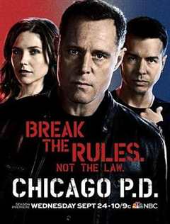 《芝加哥警署第二季》