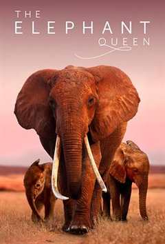 《大象女王》