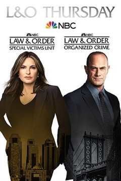 《法律与秩序：组织犯罪第二季》