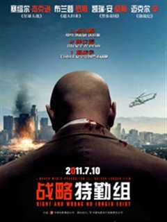 《战略特勤组（2010）》