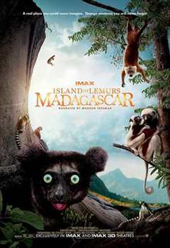《马达加斯加：狐猴之岛》
