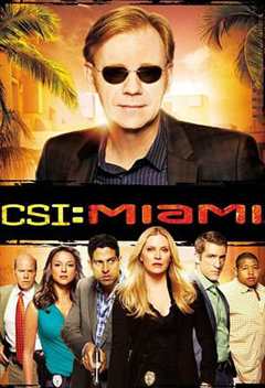 《犯罪现场调查：迈阿密第八季》