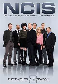 《海军罪案调查处第十二季》