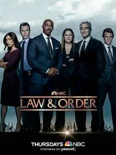《法律与秩序第二十二季》
