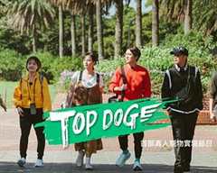 《TOPDOG》