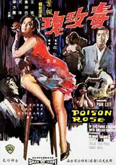 《毒玫瑰1966》