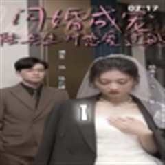 《闪婚成宠，陆先生对恋爱过敏》