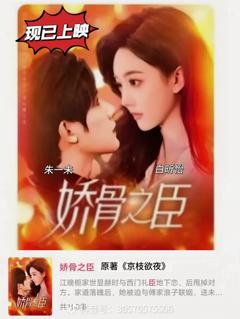 《娇骨之臣》