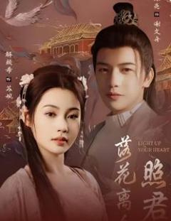 《落花离人照君心》