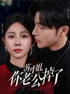 《苏小姐你老公掉了》