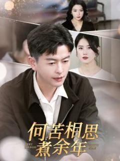 《何苦相思煮余年》