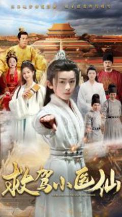 《救驾小医仙》