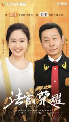 《法官的荣耀》