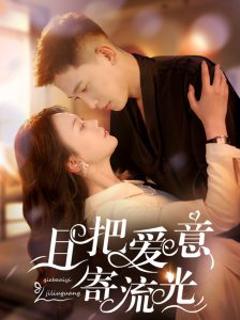 《且把爱意寄流光》