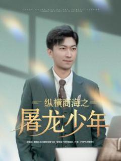 《纵横商海之屠龙少年》