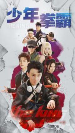 《少年拳霸》