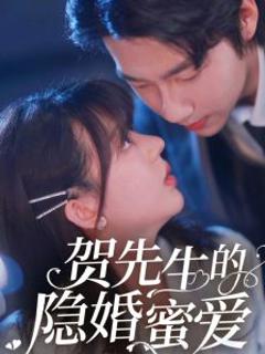 《贺先生的隐婚蜜爱》