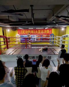 《武驰人生2之飓风营救》