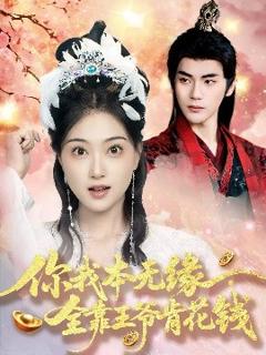《你我本无缘全靠王爷肯花钱》