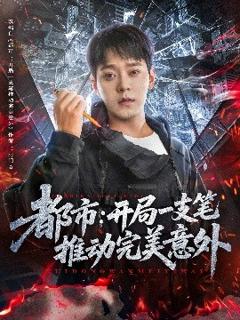 《都市开局一支笔推动完美意外》
