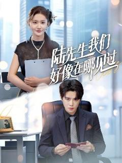 《陆先生我们好像在哪见过》