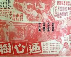 《通心树粤语》