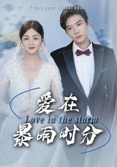 《爱在暴雨时分》
