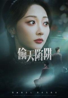 《偷天陷阱》