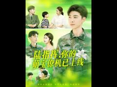 《陆指挥你的萌宝僚机已上线》