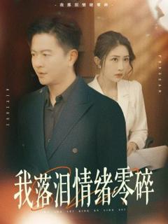 《我落泪情绪零碎》