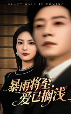 《暴雨将至爱已搁浅》