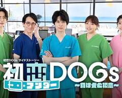 《初恋UNDER DOGs～败犬与初恋～》
