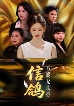 《信鸽不渡无风带》