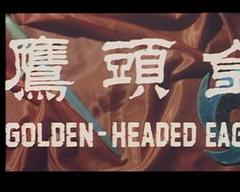 《金头鹰粤语》