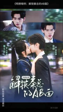 《明撩暗哄解锁秦总的AB面》