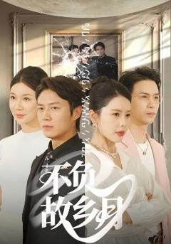 《不负故乡月》