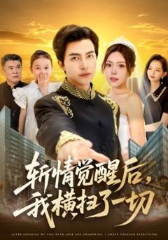 《斩情觉醒后，我横扫了一切》