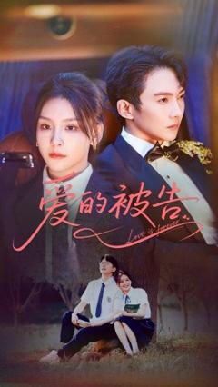 《爱的被告》