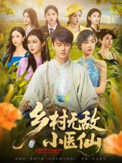 《乡村无敌小医仙》