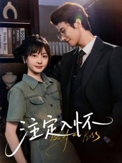 《注定入怀》