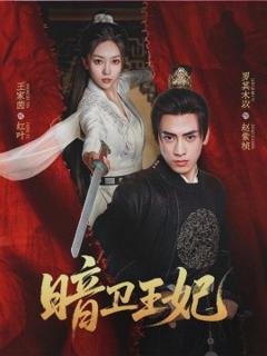《暗卫王妃》