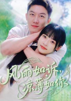 《风雨如诉凉薄如你》