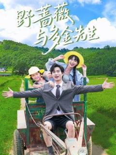 《野蔷薇与多金先生》