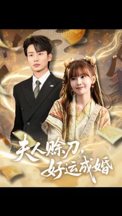 《夫人赊刀好运成婚》