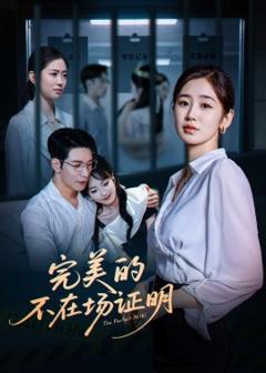 《完美的不在场证明》